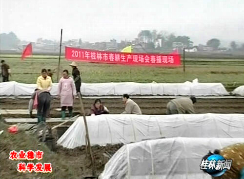 国家森林城市人均公园_城市人均纯收入