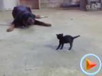 ������ı���Ϊ������Ҿ�����