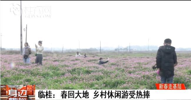 临桂区：春回大地  乡村休闲游受热捧