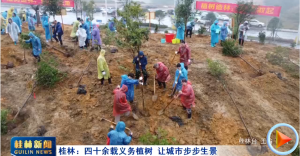 ���֣���ʮ��������ֲ�� �ó��в�������